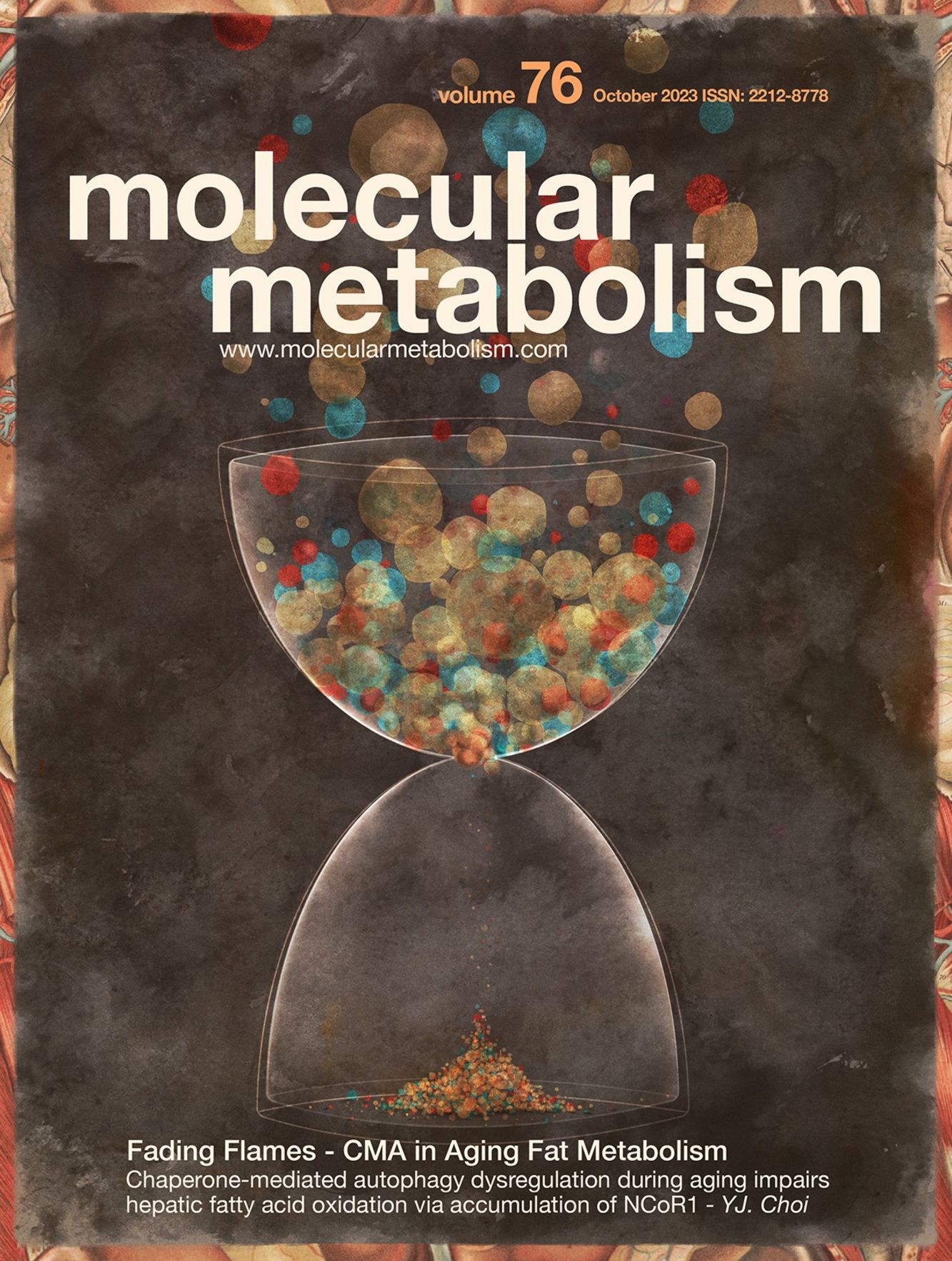 Volume 76, October 2023 -