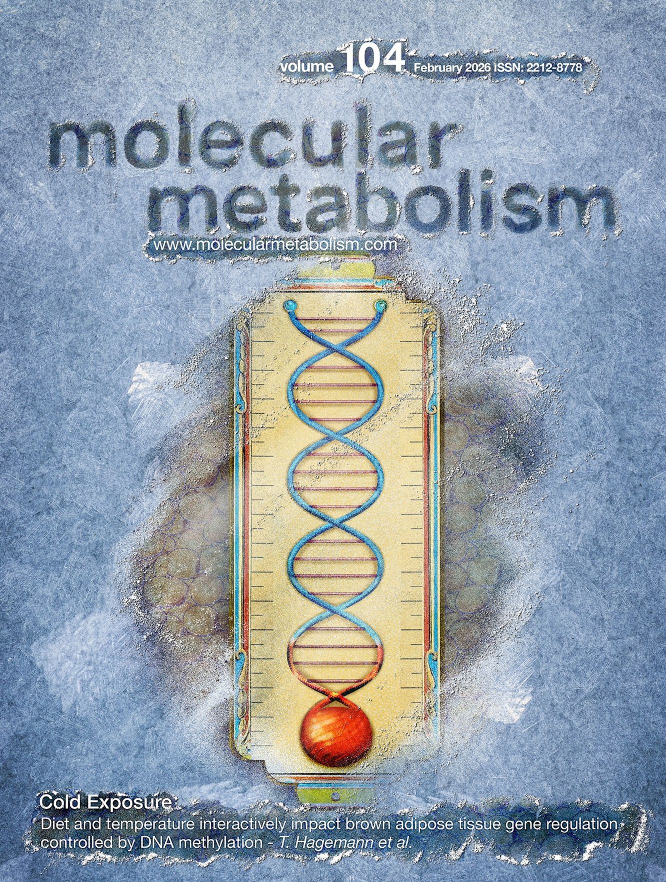 Volume 104, February 2026 -