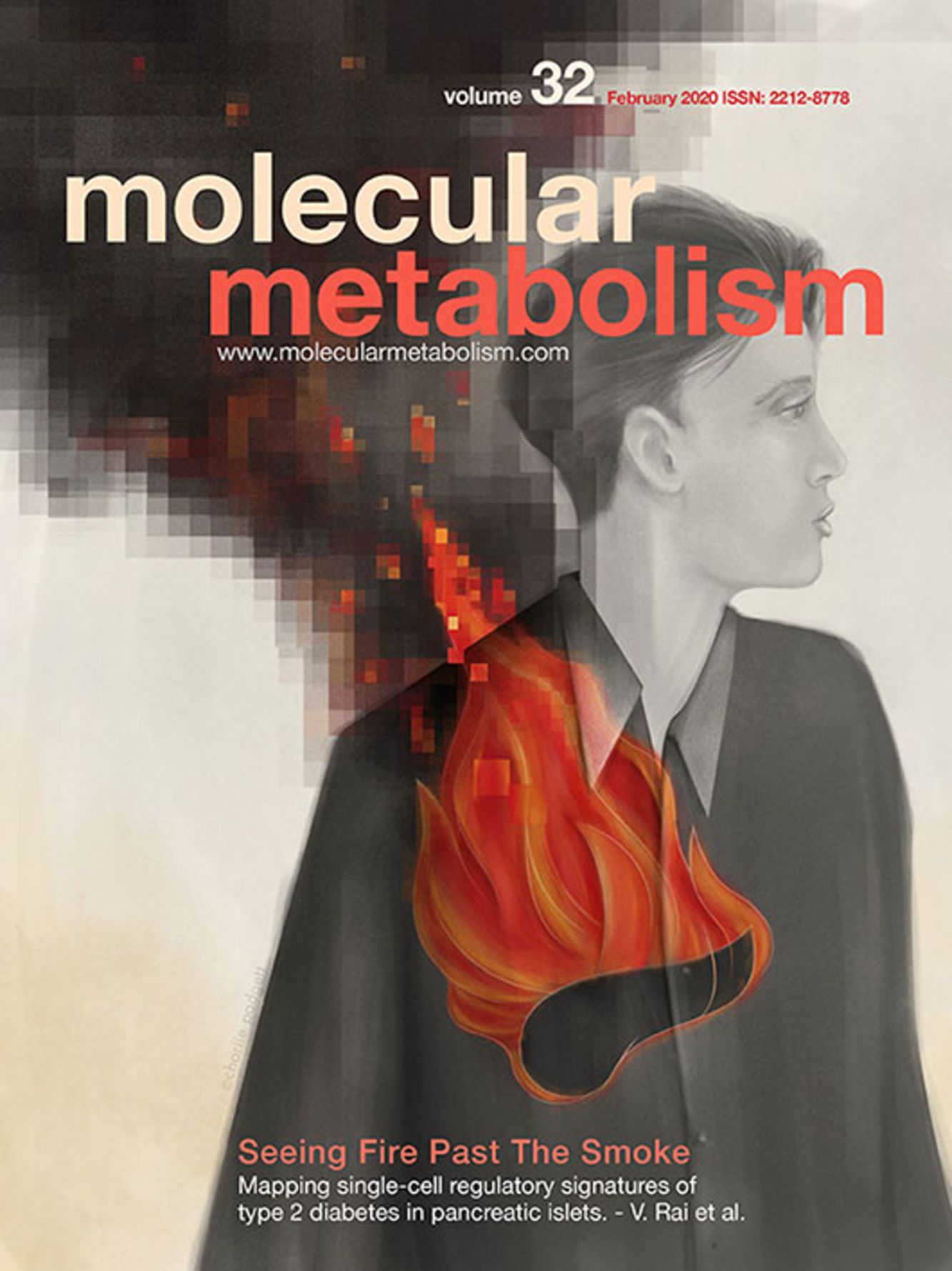 Vol 32, February 2020 -